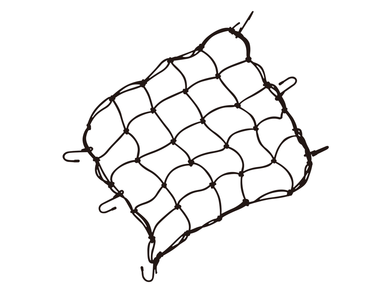 TOPEAK CARGO NET