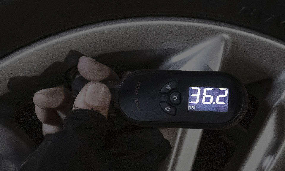 TOPEAK SMARTGAUGE D2X